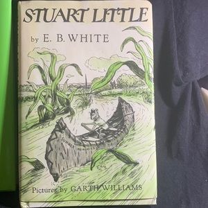 Stuart little *excellent condition*